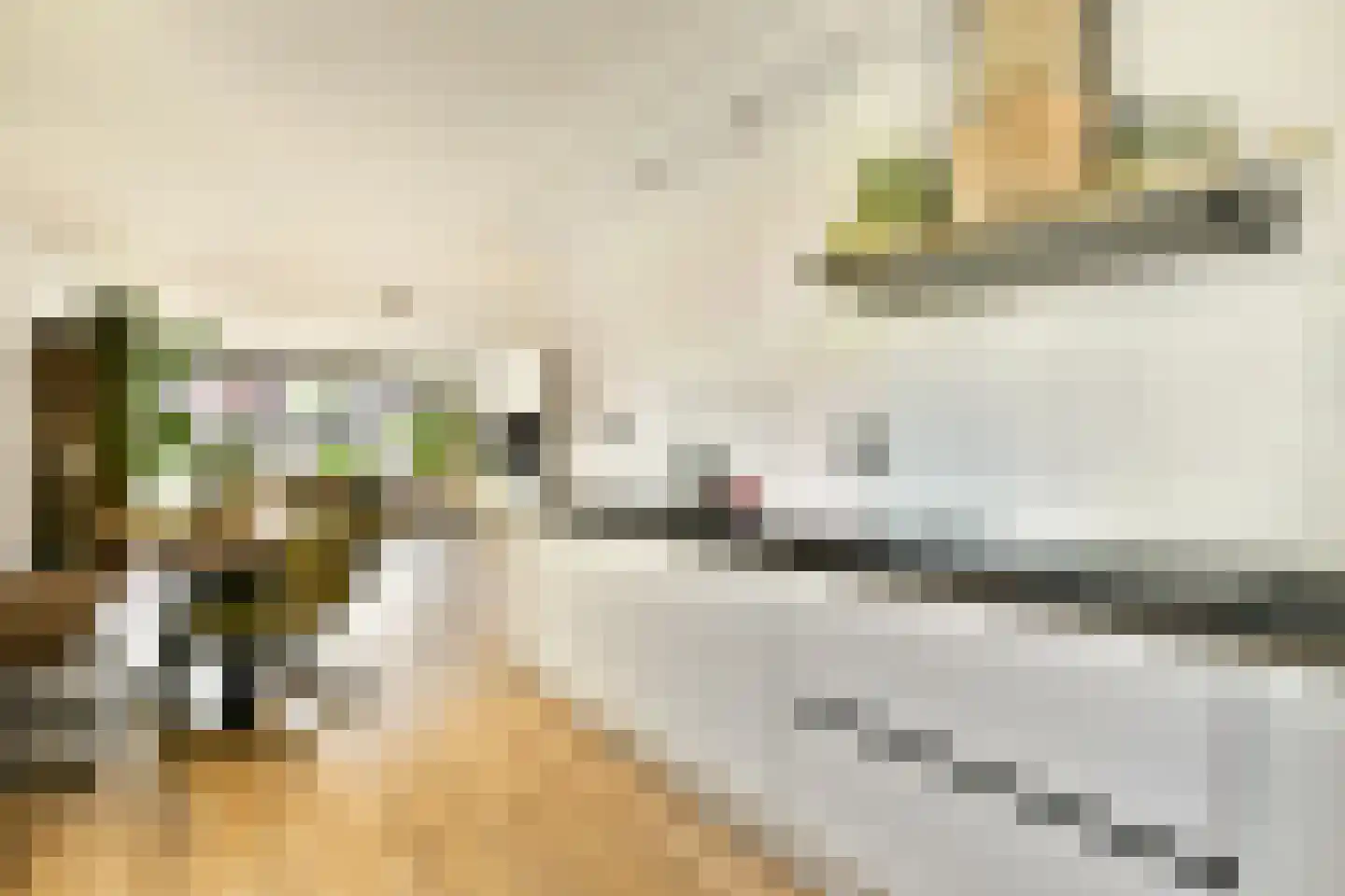 Sem Dresdenplein 162 Schiedam thumbnail 5