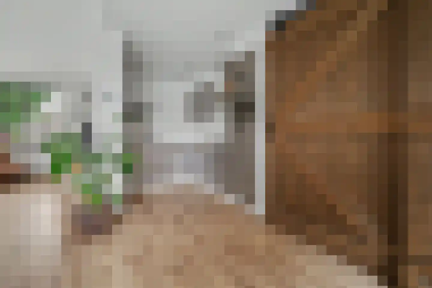 Sem Dresdenstraat 26 Waalwijk thumbnail 13