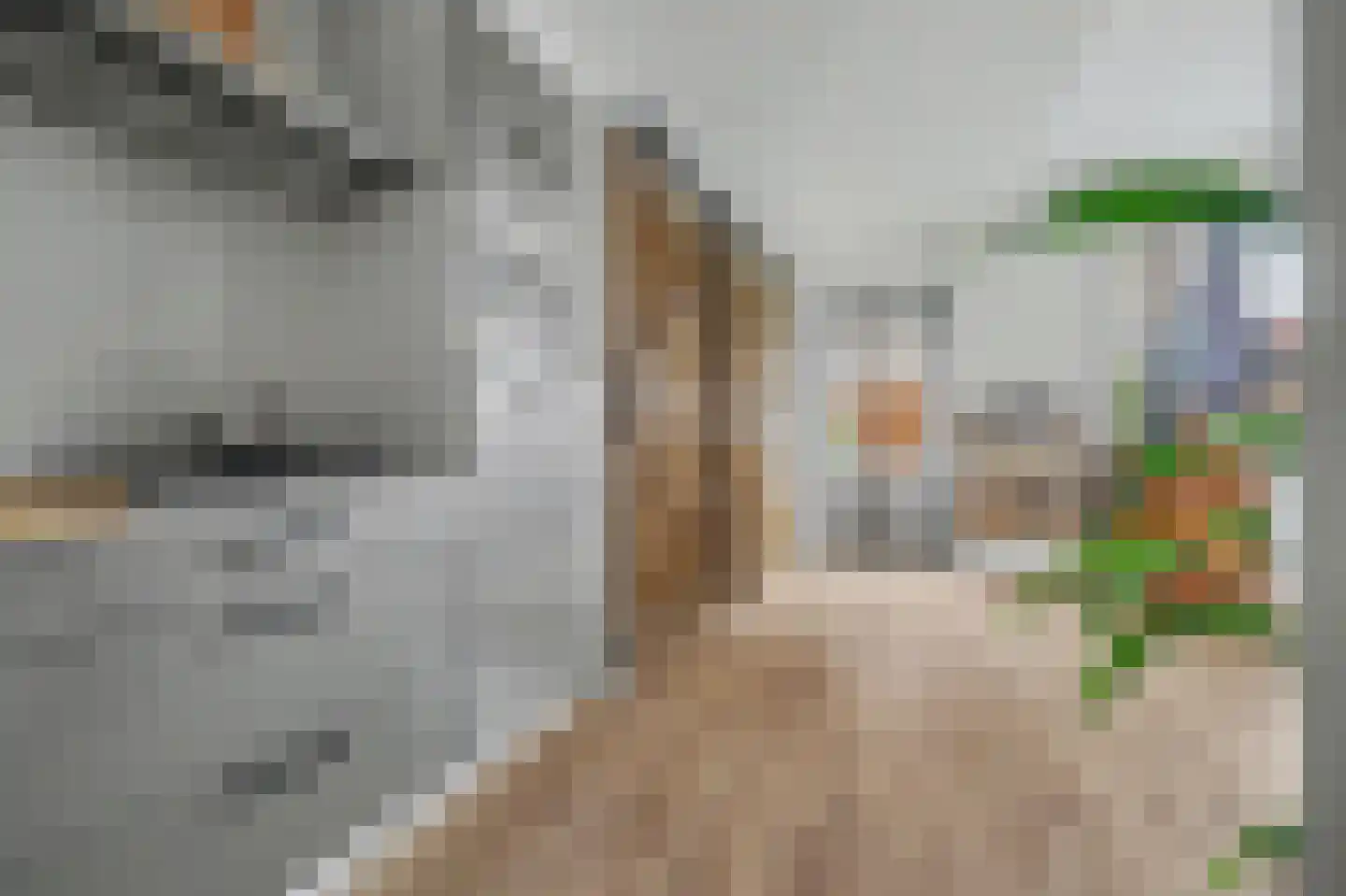 Sem Dresdenstraat 26 Waalwijk thumbnail 14