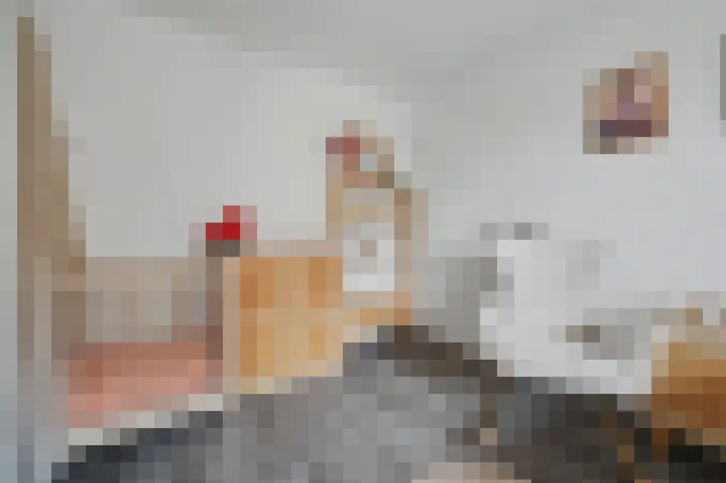 Sem Dresdenstraat 26 Waalwijk thumbnail 21