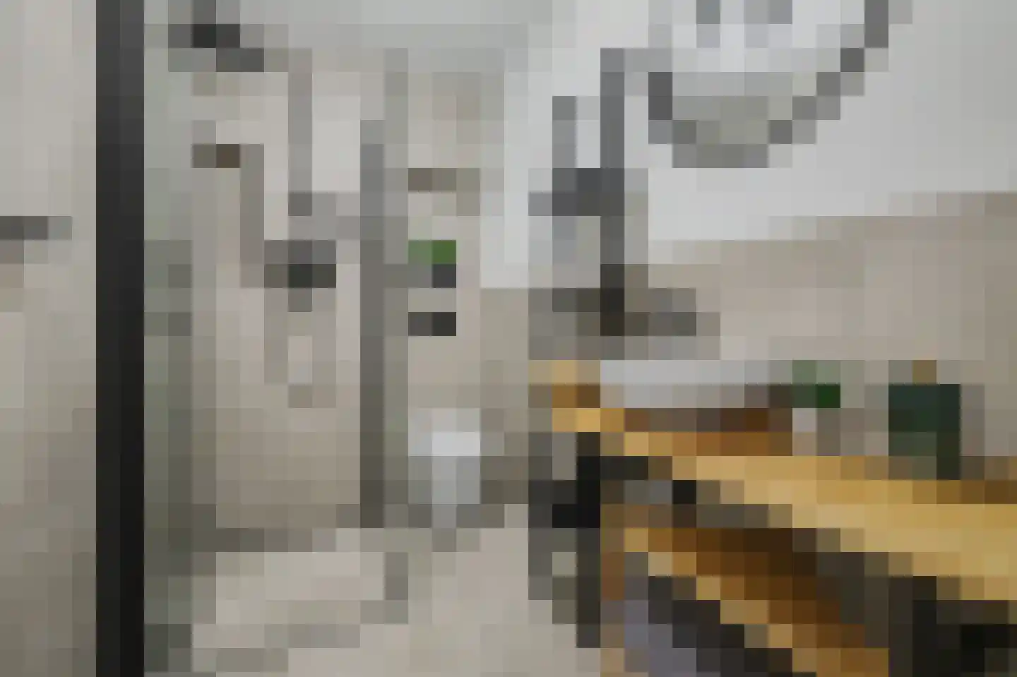 Sem Dresdenstraat 26 Waalwijk thumbnail 23