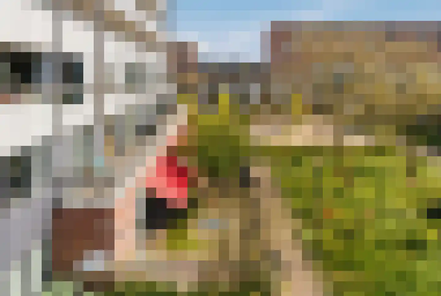 Sem Presserhof 49 Amsterdam thumbnail 30