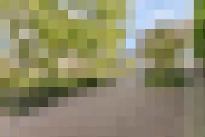 Sem Presserhof 64 Amsterdam thumbnail 21