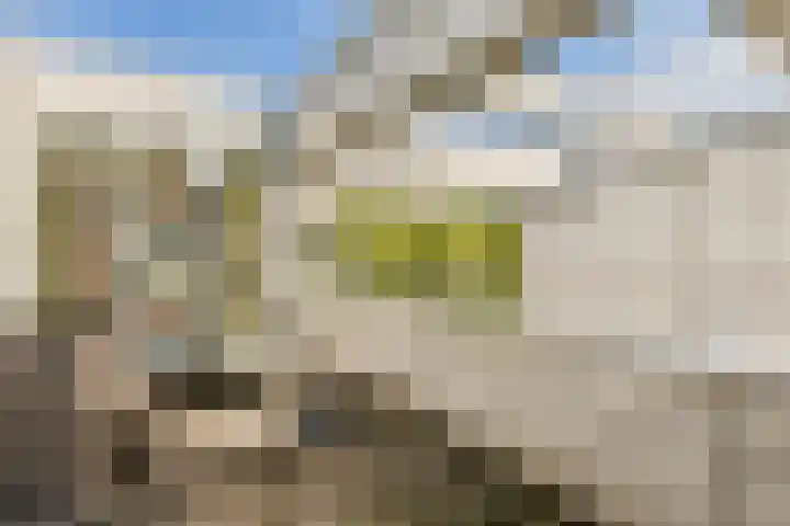 Sem Presserhof 64 Amsterdam foto 3