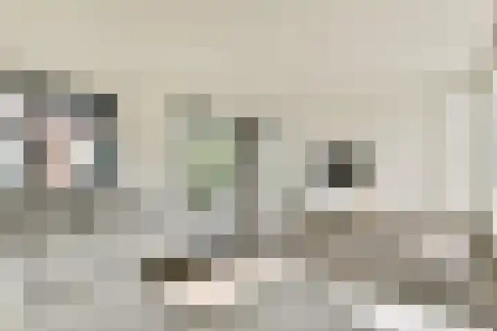 Sem Presserhof 64 Amsterdam thumbnail 4