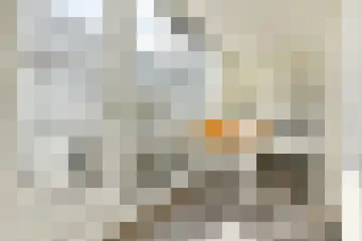 Sem Presserhof 64 Amsterdam thumbnail 7