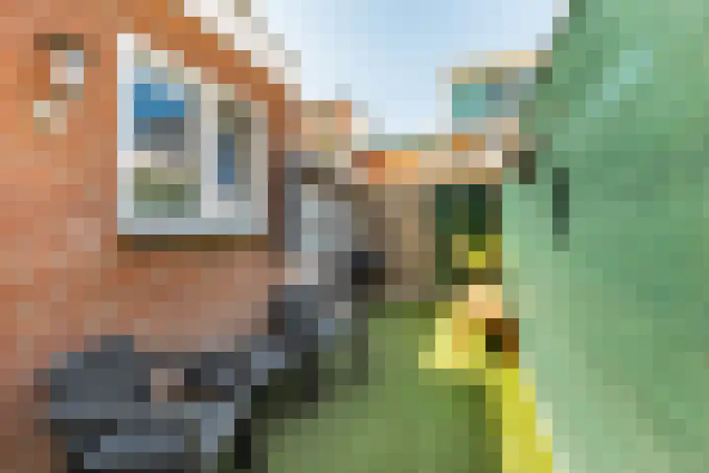 Semarangstraat 13 Haarlem thumbnail 14