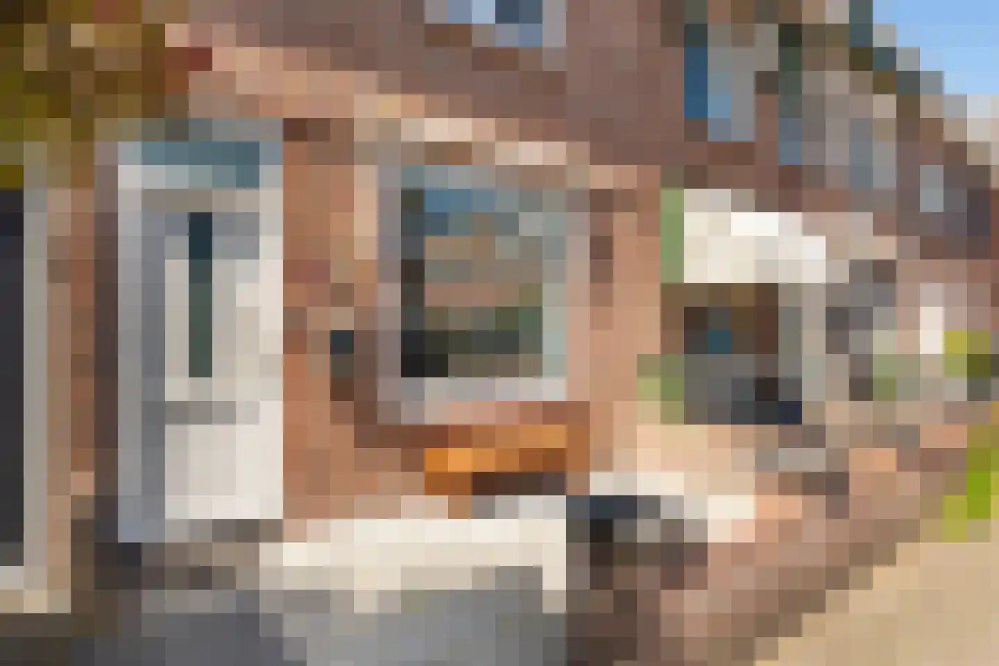 Semarangstraat 13 Haarlem thumbnail 22