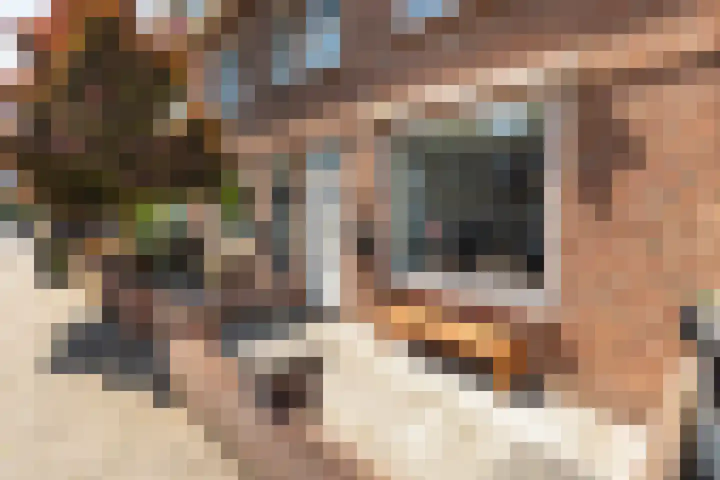 Semarangstraat 13 Haarlem thumbnail 23