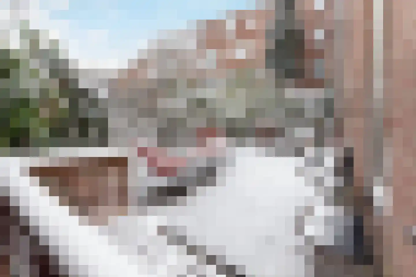 Semarangstraat 15 Amsterdam thumbnail 14