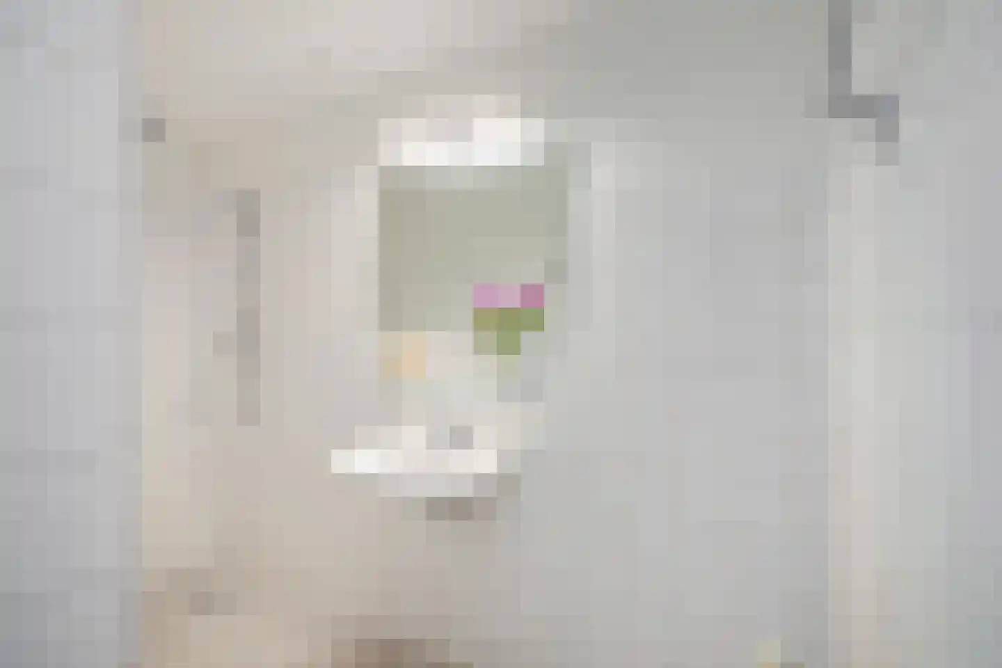 Semarangstraat 19 Groningen thumbnail 22