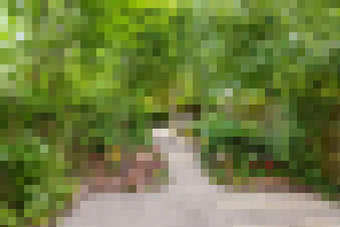 Semarangstraat 19 Groningen thumbnail 32