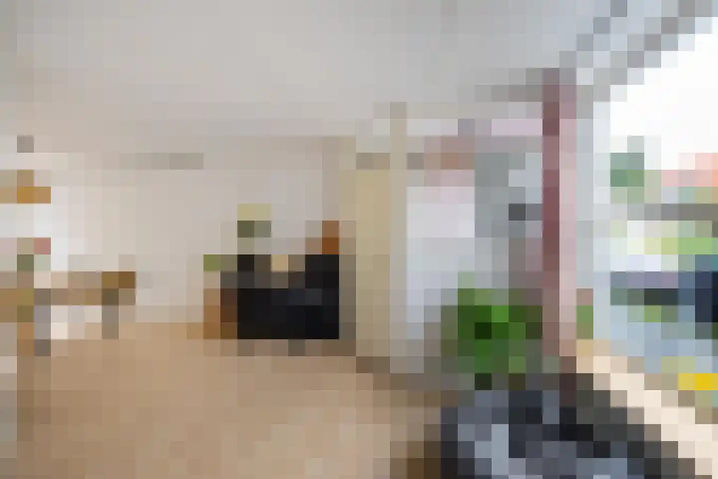 Semarangstraat 19 Groningen thumbnail 6