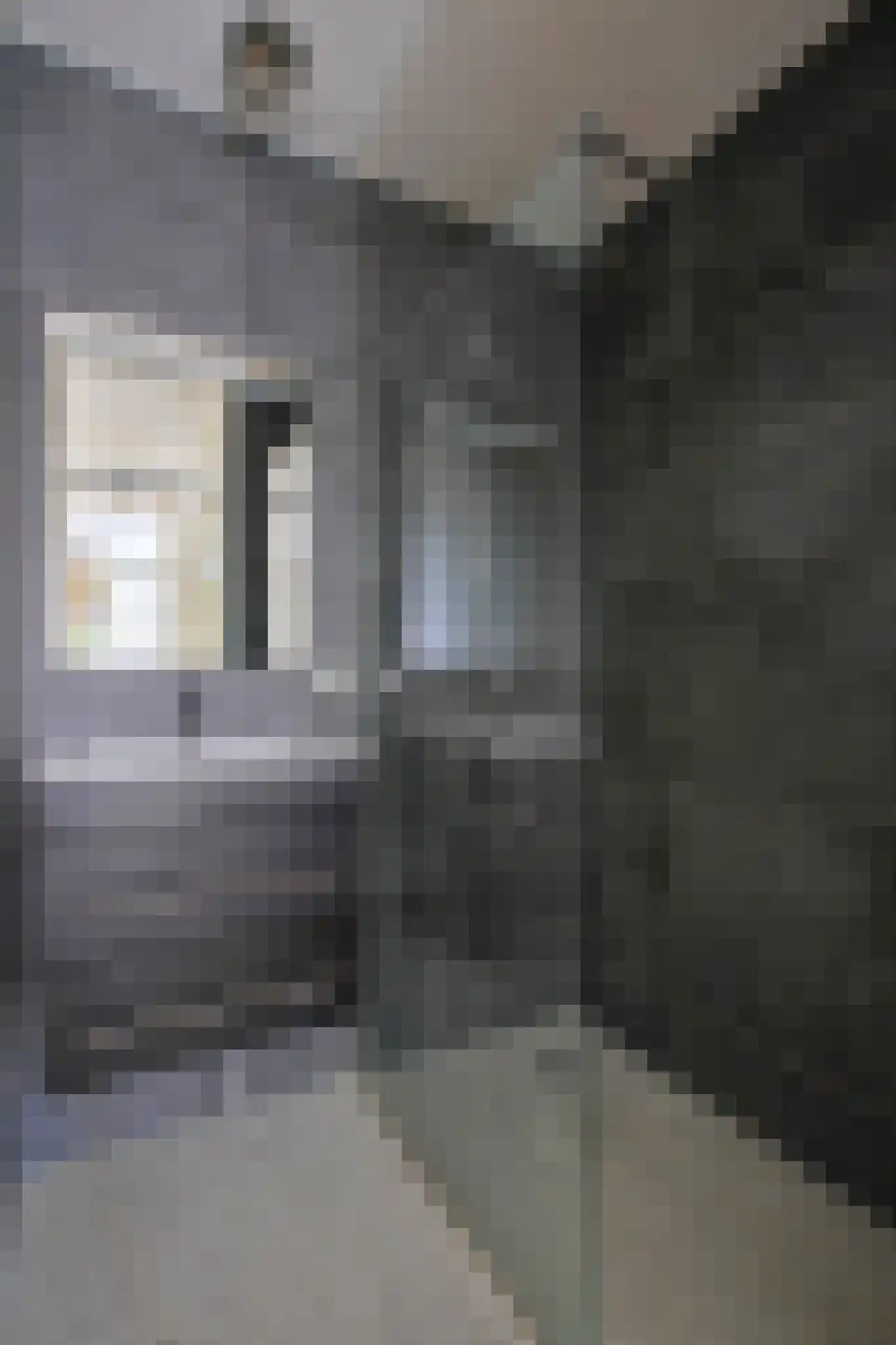 Semarangstraat 23 B Amsterdam thumbnail 31