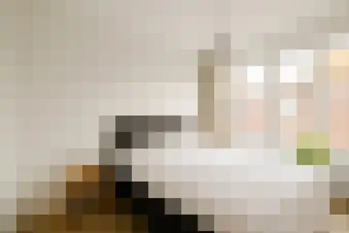Semarangstraat 23 Haarlem thumbnail 23