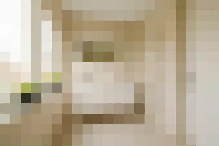 Semarangstraat 23 Haarlem thumbnail 25