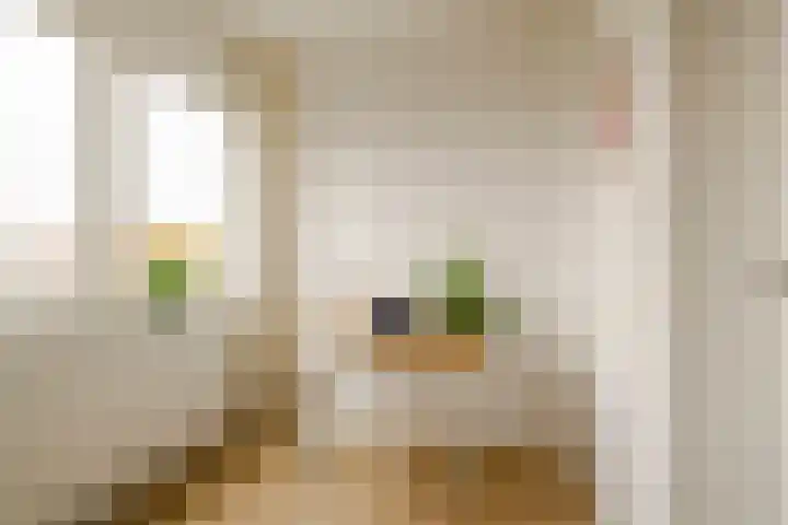 Semarangstraat 23 Haarlem thumbnail 35