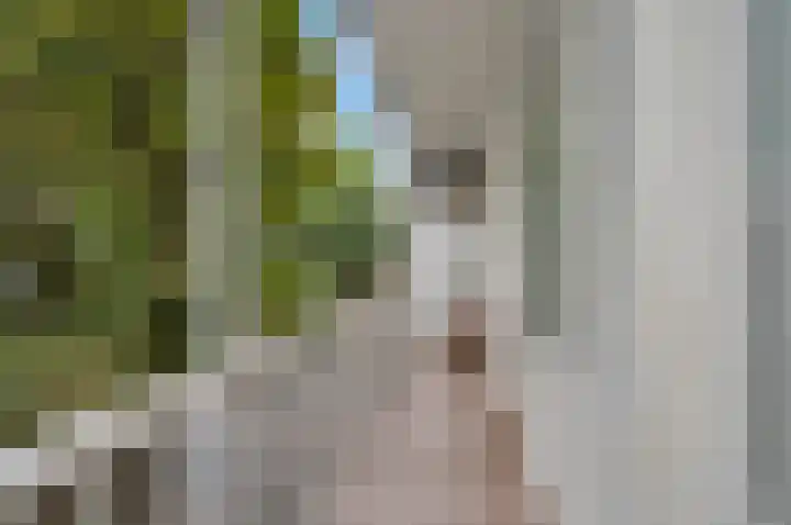 Semarangstraat 28 H Amsterdam thumbnail 17