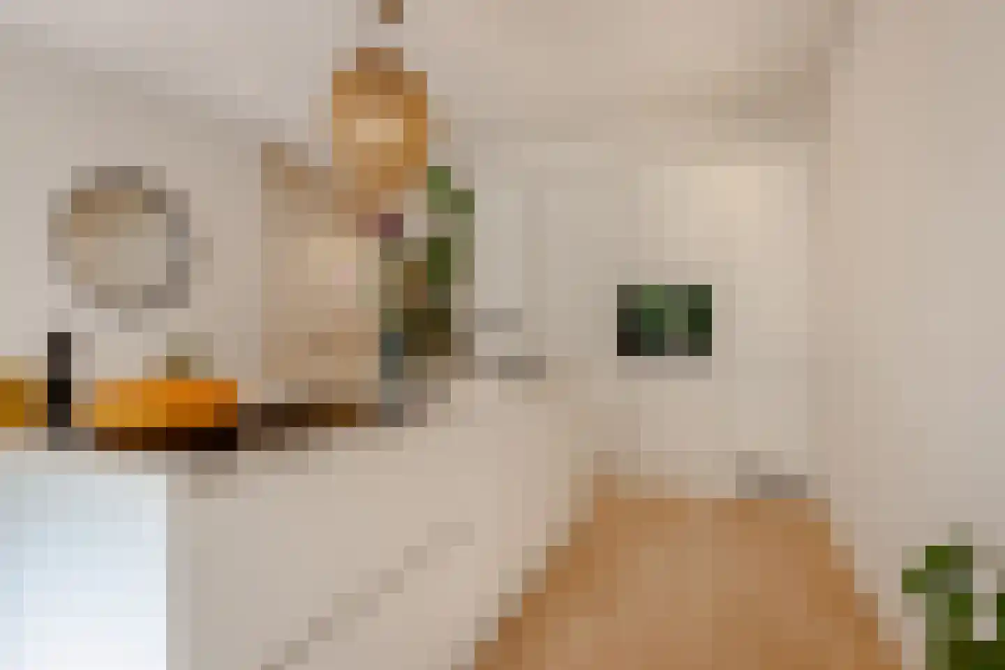 Semarangstraat 30 H Amsterdam thumbnail 12