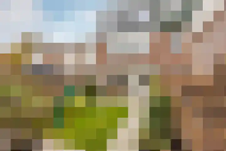 Semarangstraat 6 Haarlem thumbnail 17