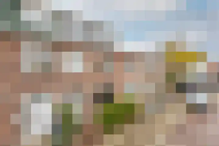 Semarangstraat 6 Haarlem thumbnail 6