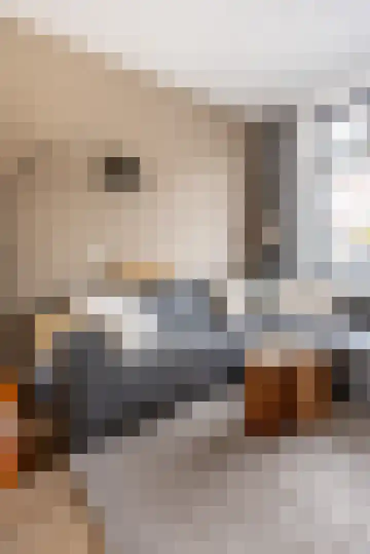 Semarangstraat 6 Haarlem thumbnail 9