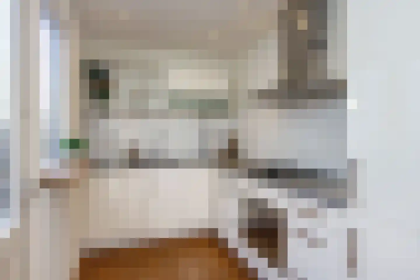Semarangstraat 7 Haarlem thumbnail 11