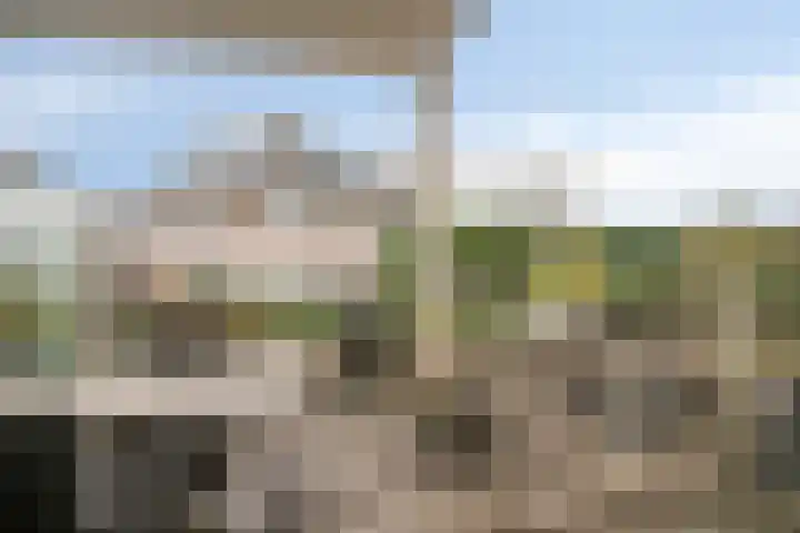 Seminariehof 10 Soest thumbnail 22