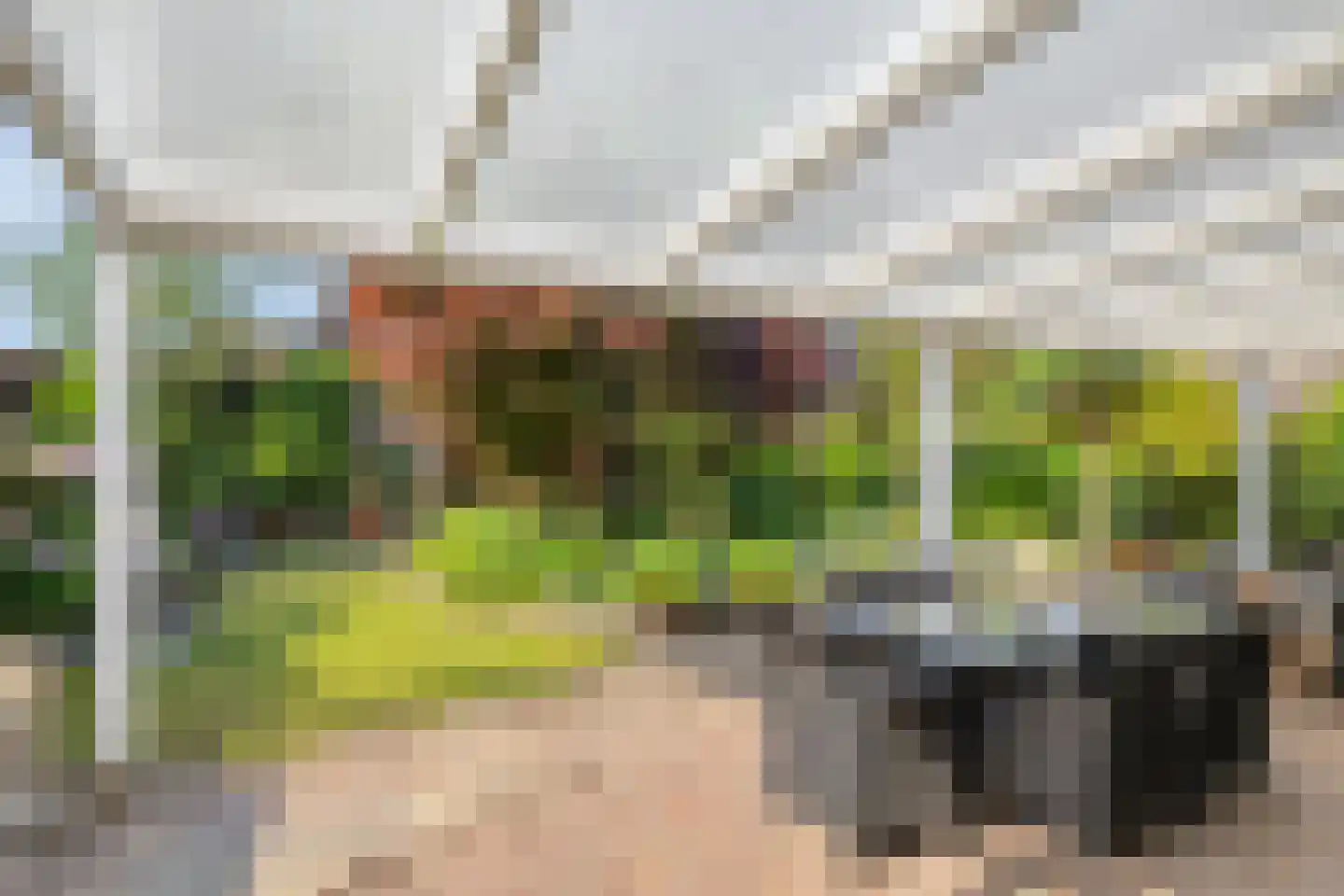Seminarielaan 25 Hoeven thumbnail 35