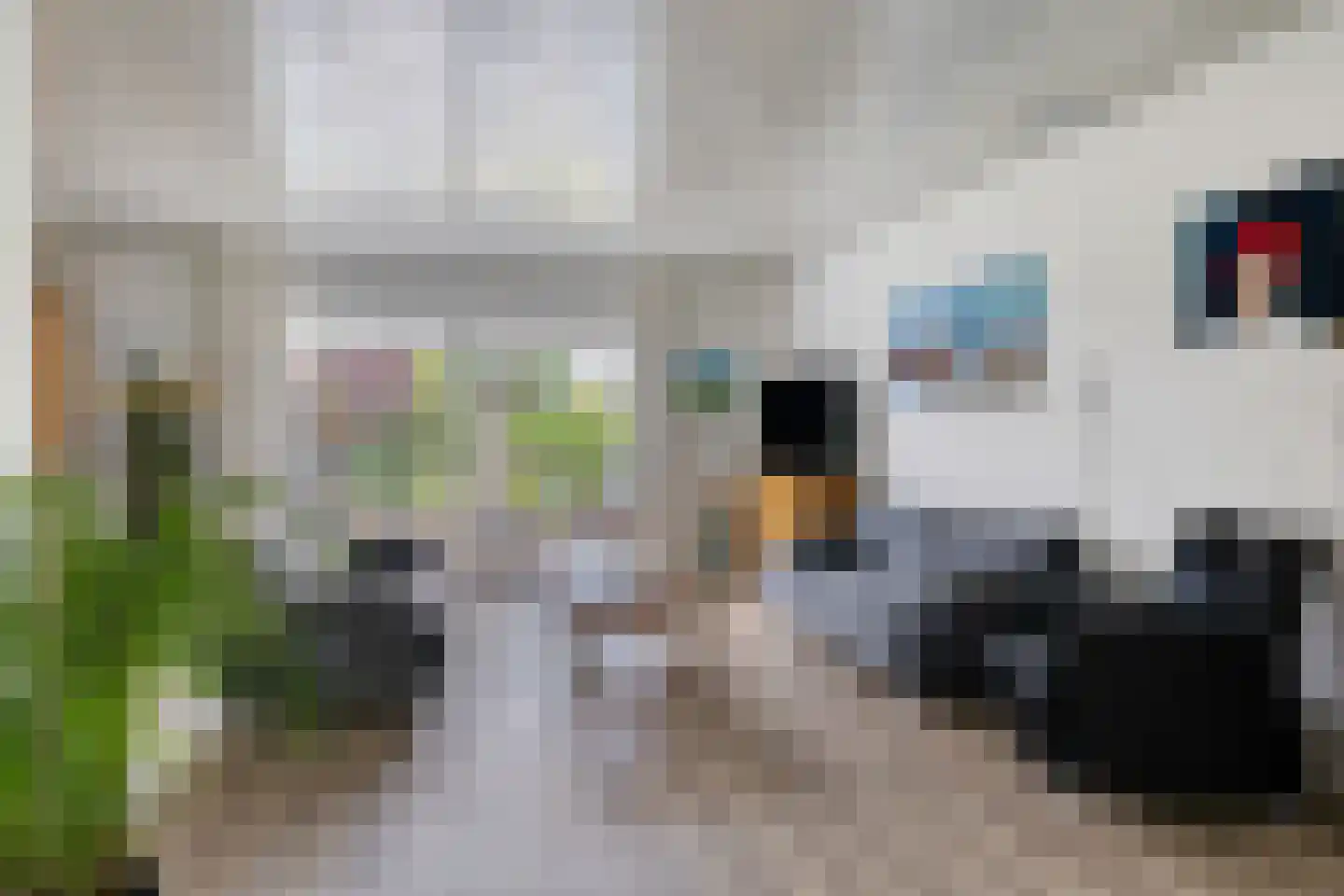 Seminarielaan 25 Hoeven thumbnail 7