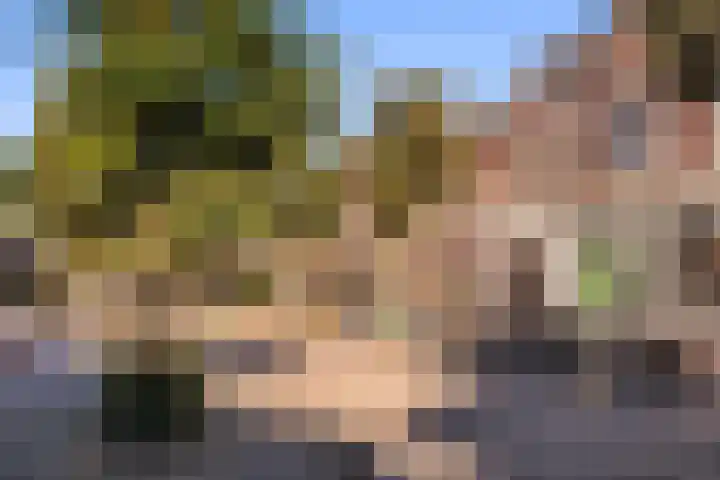 Semmelinkstraat 12 Nijmegen thumbnail 20