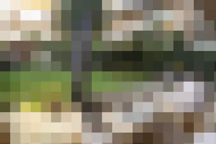 Semmelinkstraat 12 Nijmegen thumbnail 4