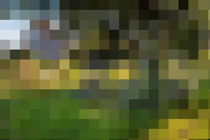 Semmelinkstraat 12 Nijmegen thumbnail 5