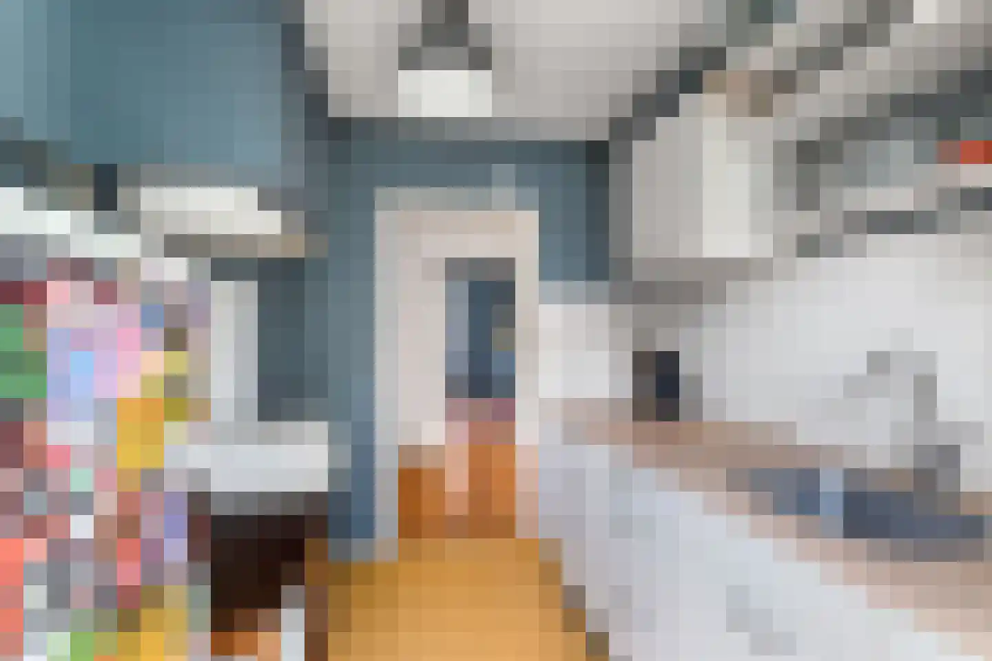 Semmelinkstraat 16 Nijmegen thumbnail 12