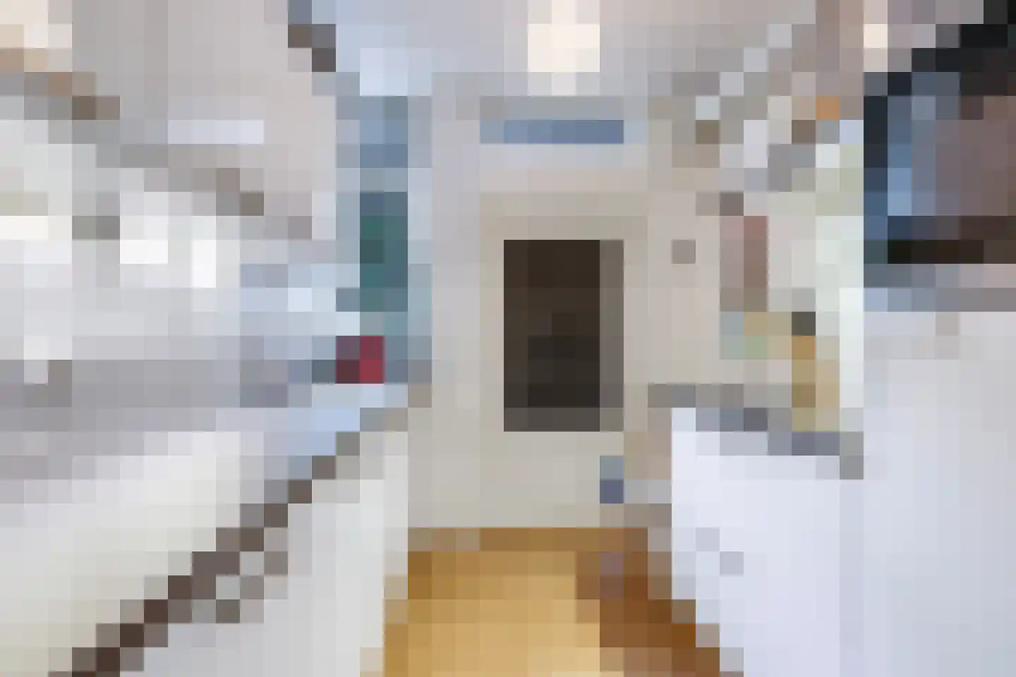 Semmelinkstraat 2 Nijmegen thumbnail 11