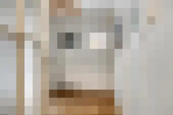 Semmelinkstraat 23 Nijmegen thumbnail 4