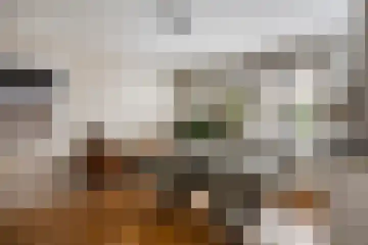 Semmelinkstraat 23 Nijmegen thumbnail 6