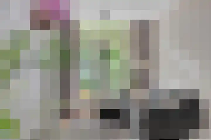 Semmelinkstraat 23 Nijmegen thumbnail 8