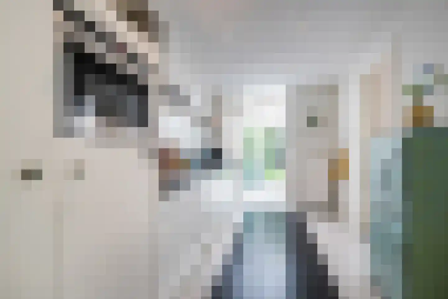 Semmelweislaan 2 Eindhoven thumbnail 19