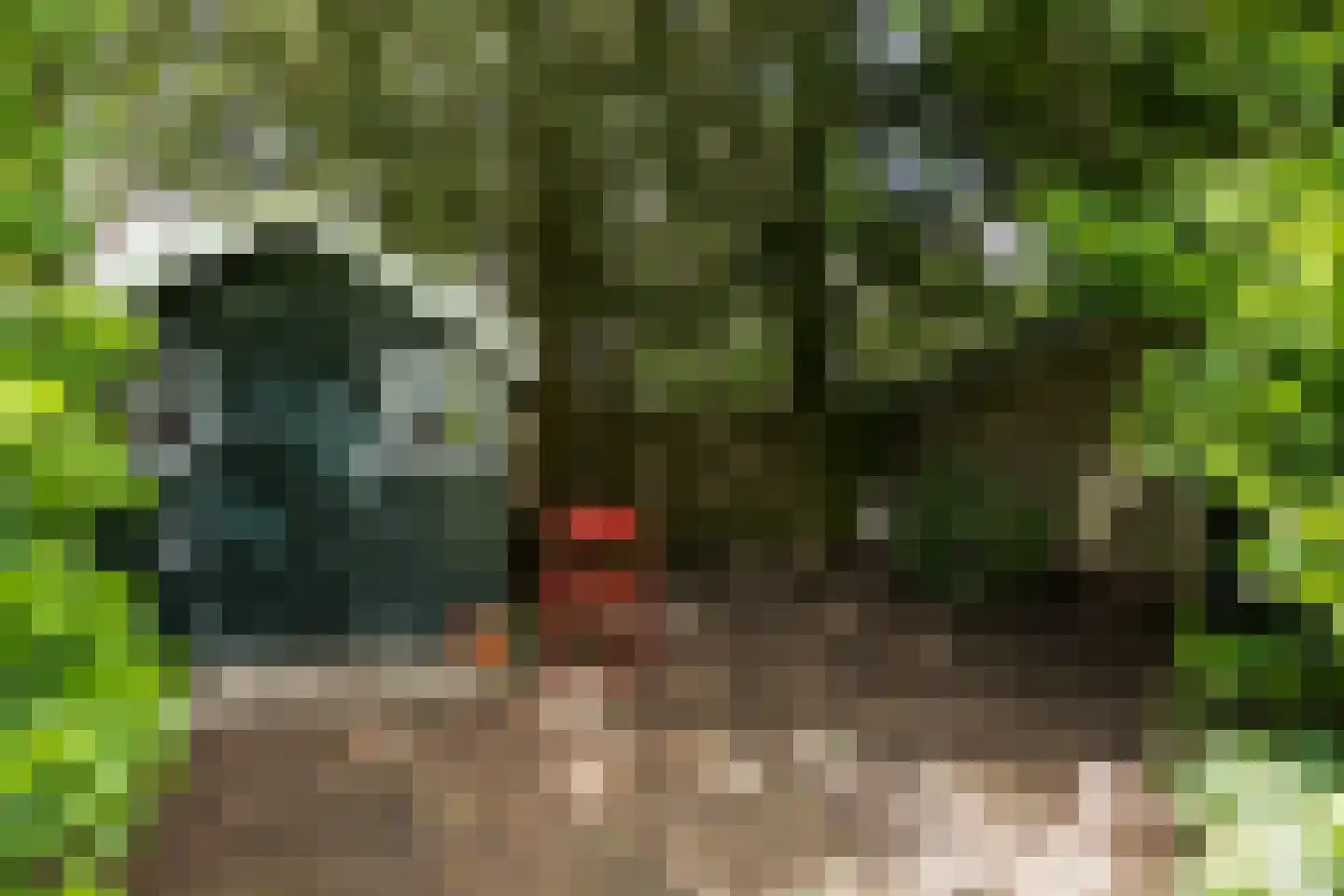 Semmelweislaan 2 Eindhoven thumbnail 37