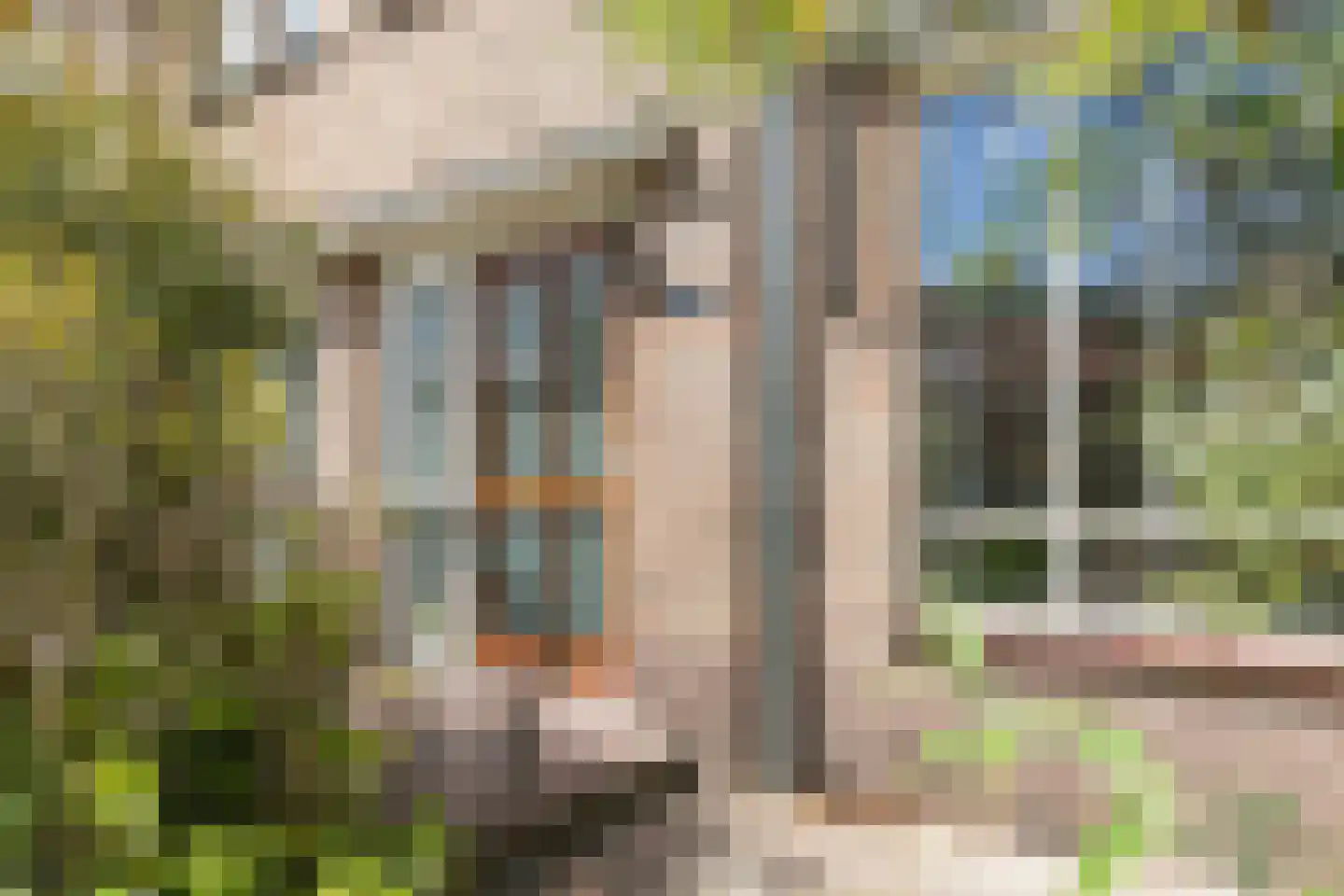 Semmelweislaan 2 Eindhoven thumbnail 6