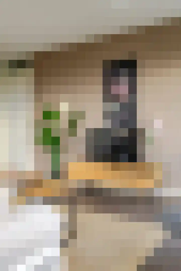 Semmelweisstraat 106 Groningen thumbnail 15