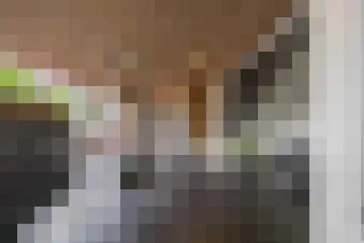 Semmelweisstraat 106 Groningen thumbnail 7
