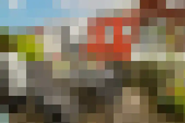 Semmelweisstraat 6 Leiden thumbnail 29