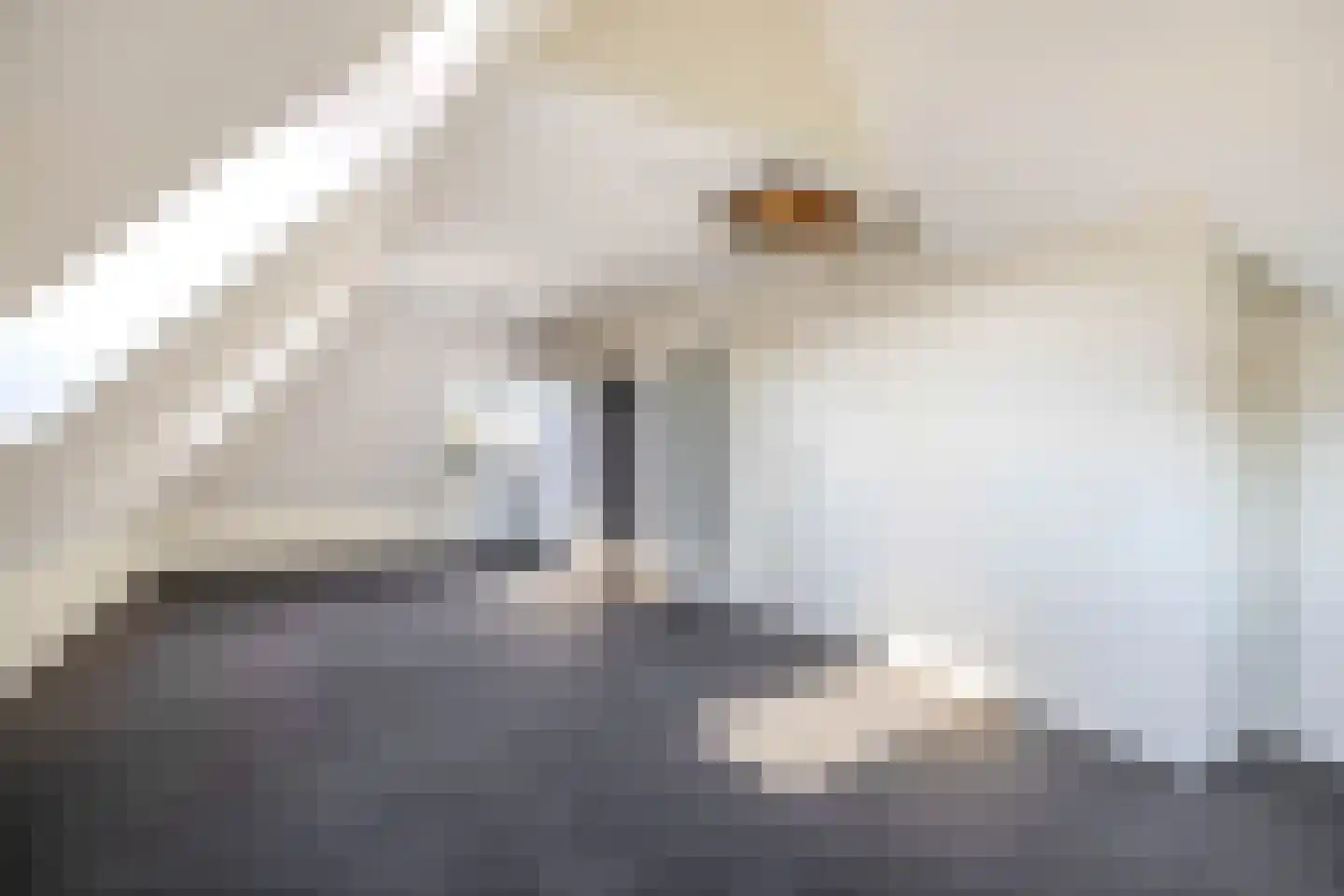 Semskade 107 Stadskanaal thumbnail 31
