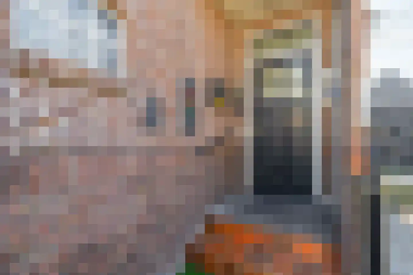 Semskade 107 Stadskanaal thumbnail 39