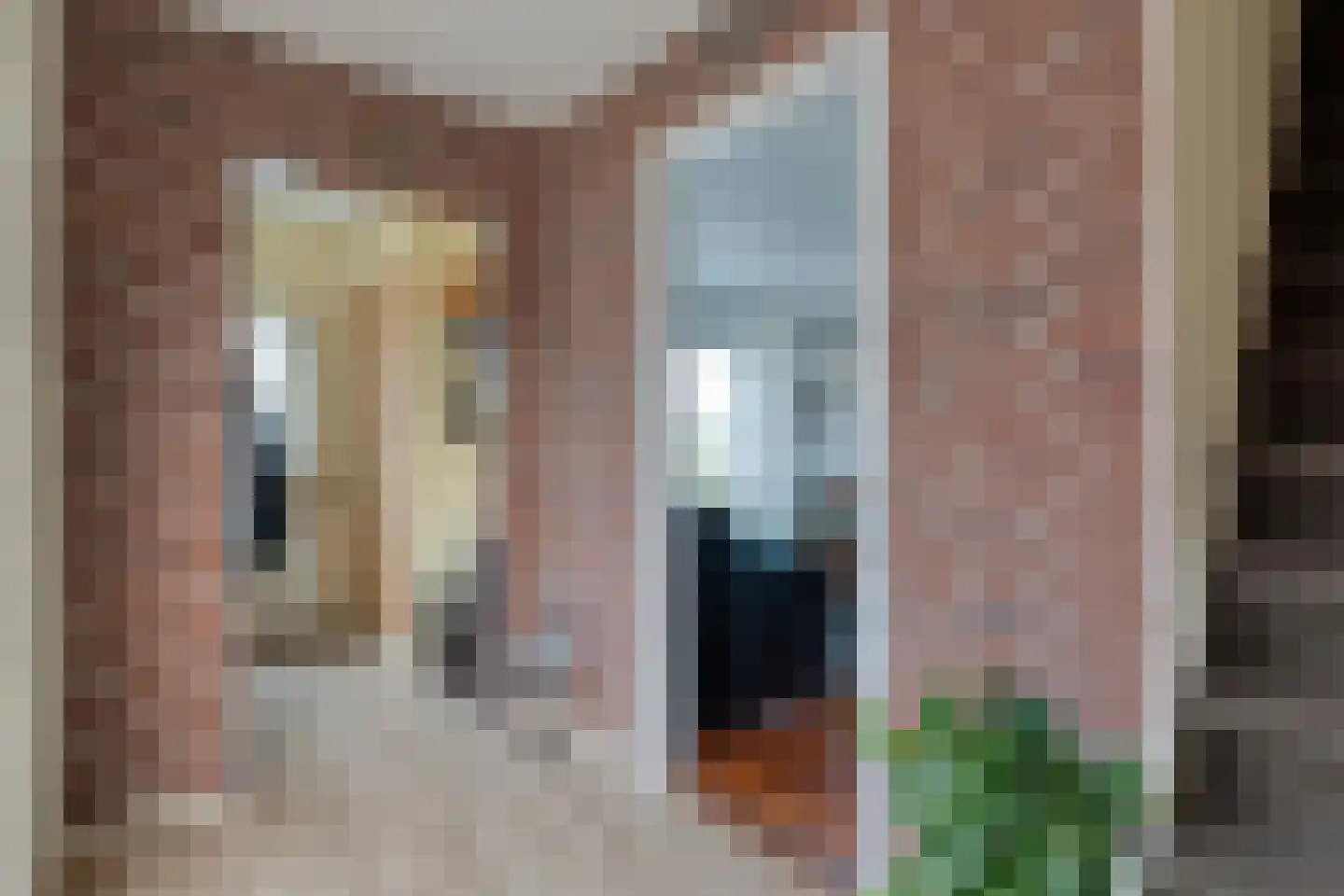Semskade 25 Stadskanaal thumbnail 20