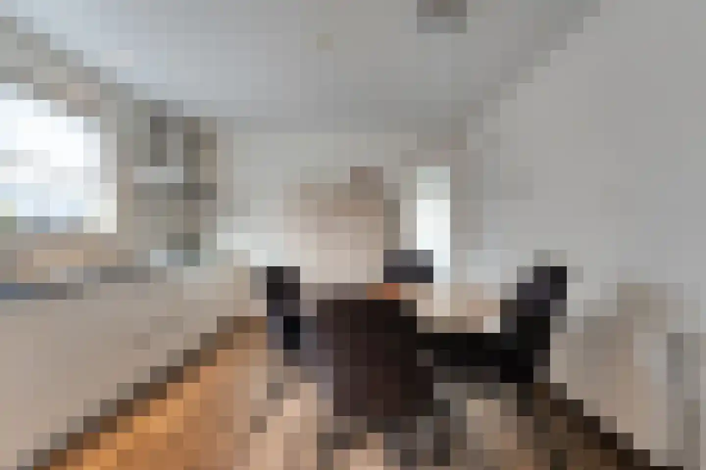 Semskade 25 Stadskanaal thumbnail 8