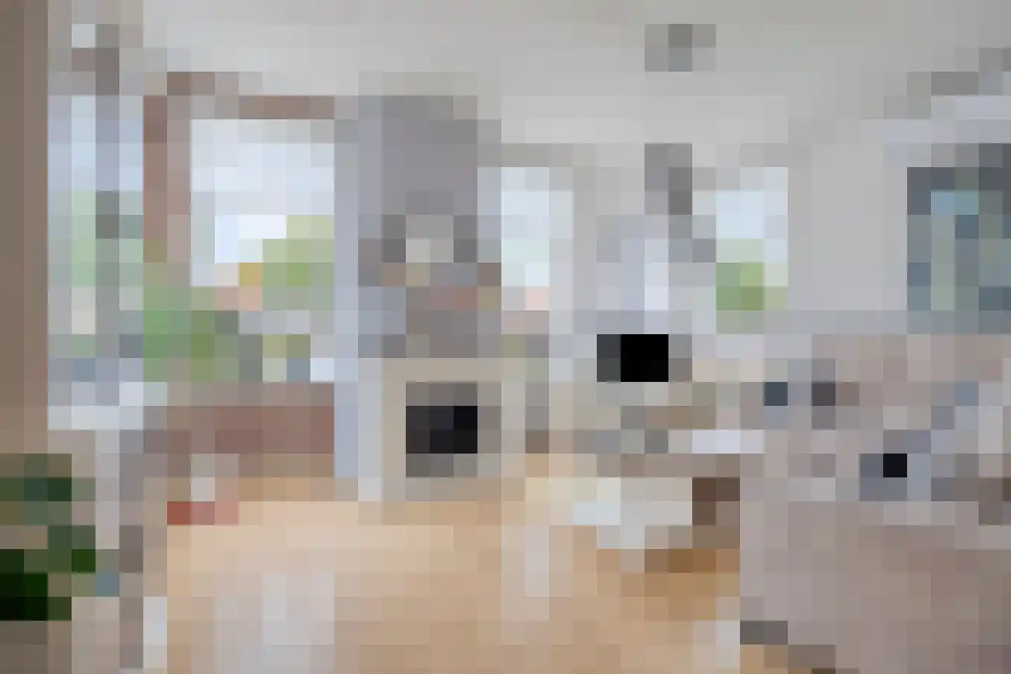 Semskade 39 Stadskanaal thumbnail 11