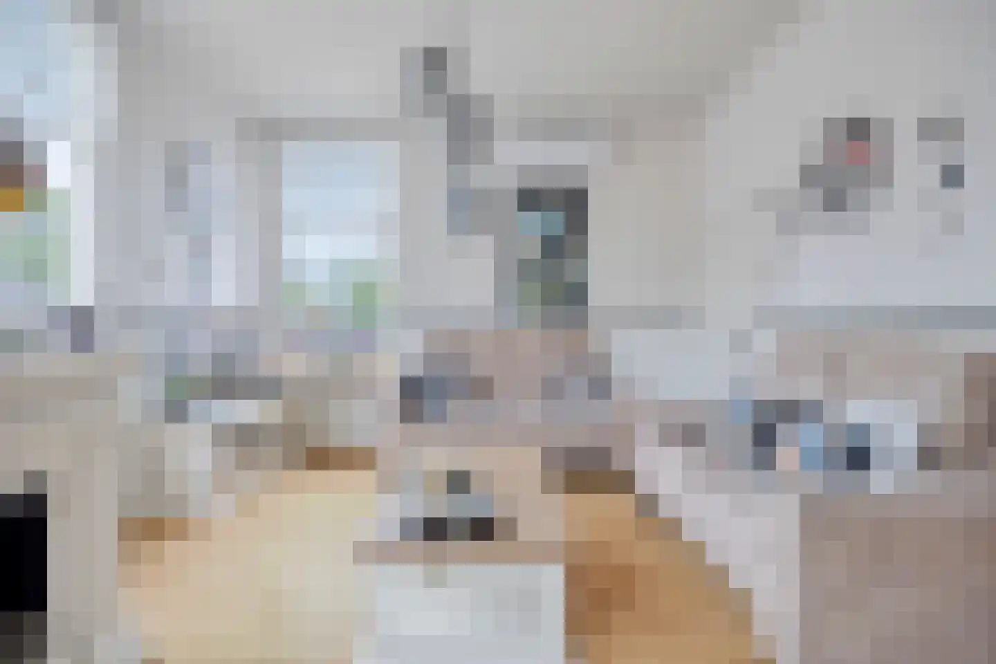 Semskade 39 Stadskanaal thumbnail 12